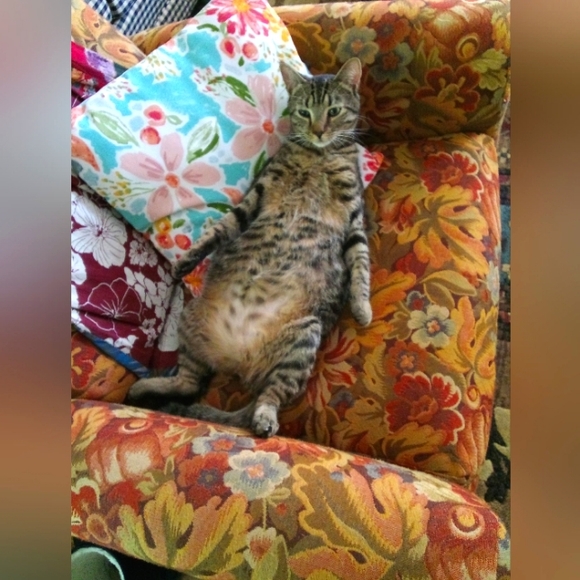 I LOVE OFFERS !!! - Picture 1 of 1